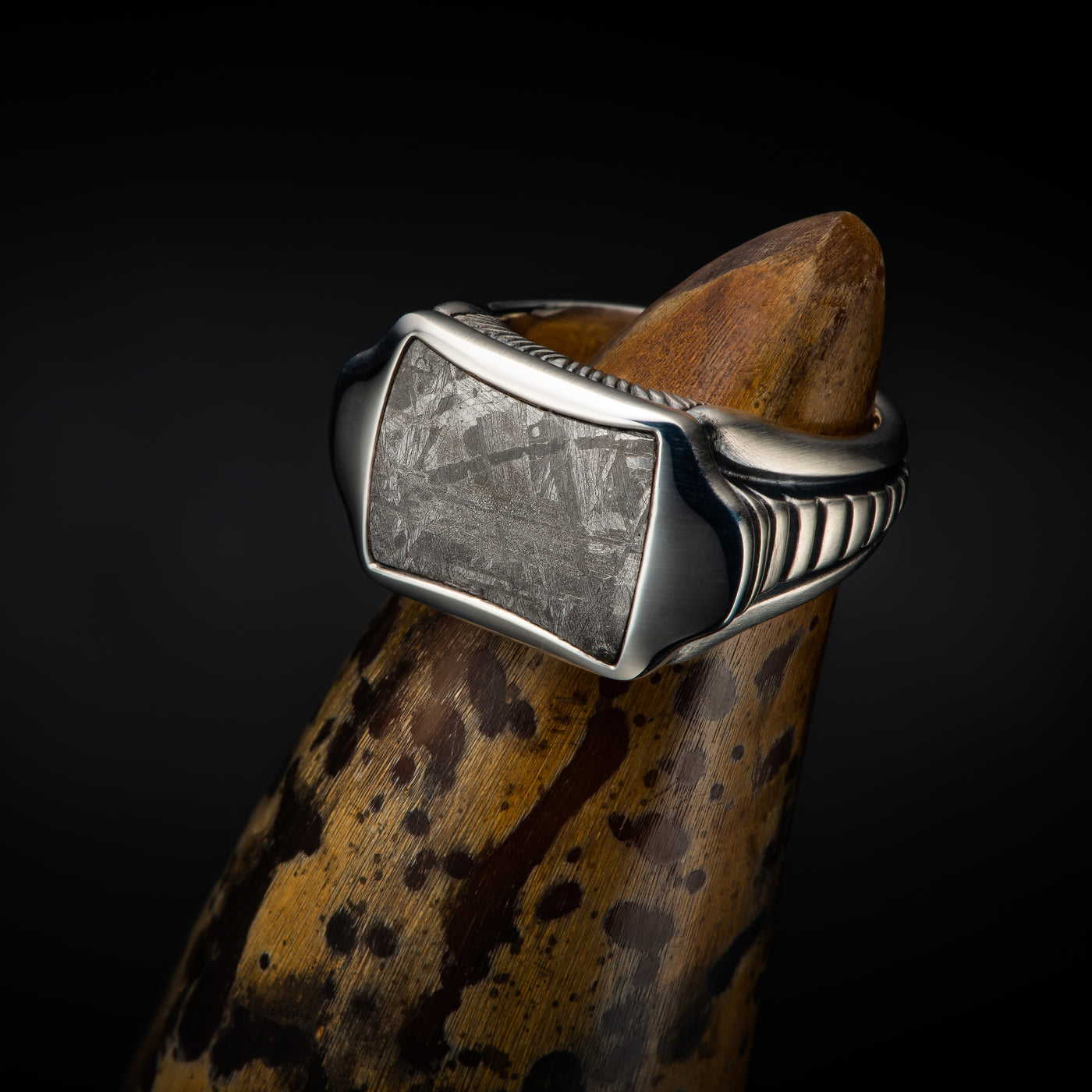 Men's Sterling Silver Meteorite Sleek Ring by William Henry Studio